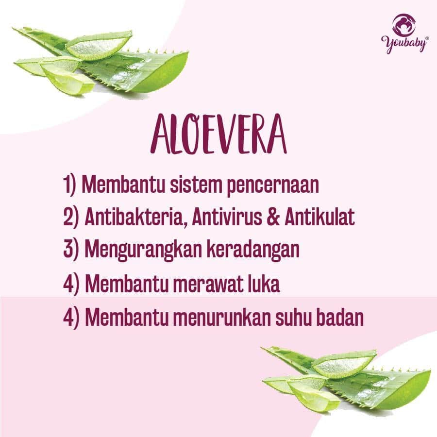 Aloevera