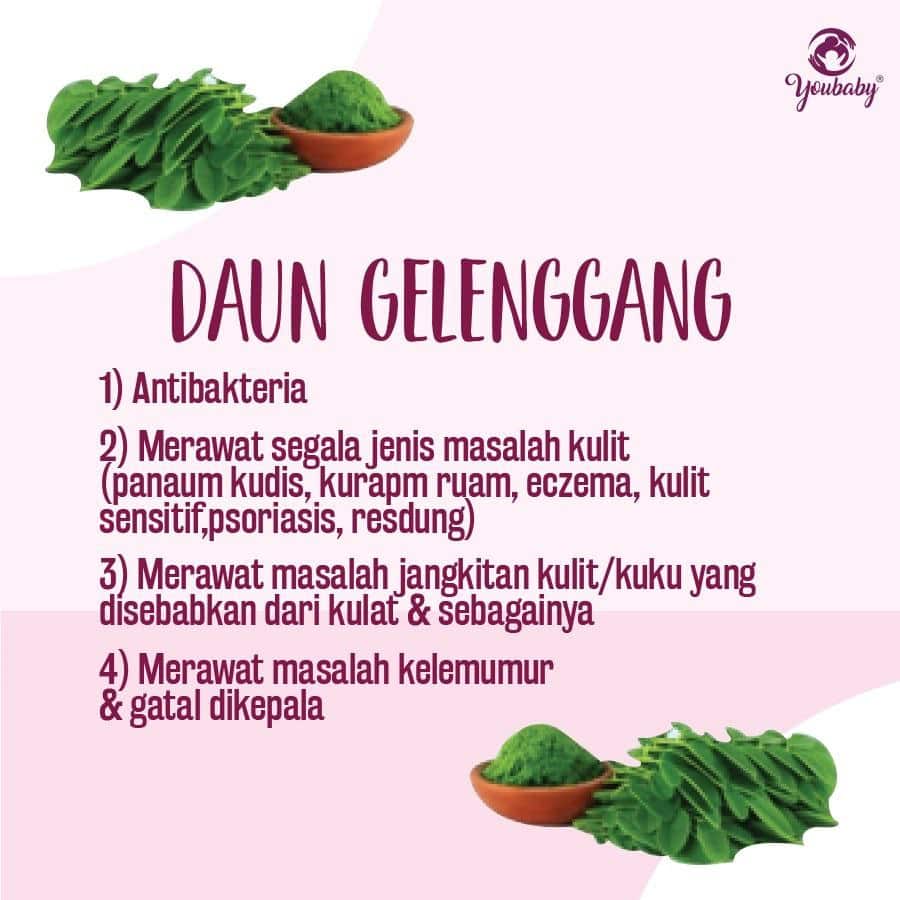 Daun Gelenggang
